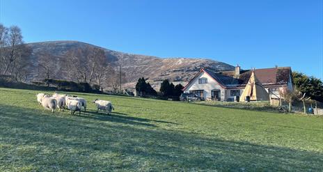 house mountains mournes