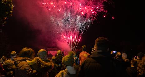 Fireworks display in front of a crowd of people