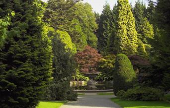 View of the Annesley Walk in Castlewellan Forest Park