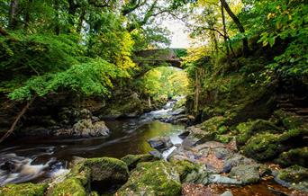 Roe Valley Country Park