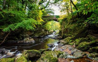 Roe Valley Country Park