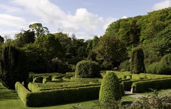 Seaforde Gardens and Tropical Butterfly House