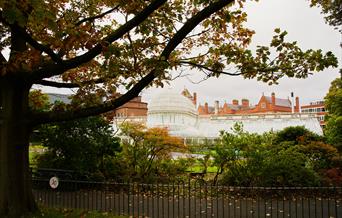 Belfast Botanic Gardens and Palm House