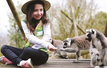 Belfast Zoo