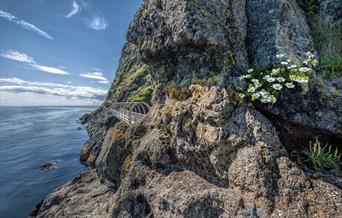 A view of the tubular bridge with flowers on the rock face and the ocean beyond.