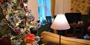 A sitting room with a sofa, TV, window, lamp and a Christmas tree.