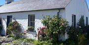 Front exterior of Dunnaglea Cottage, taken from the right hand side. The cottage is single-story with floral exteriors and a dutch style half-door.