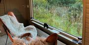 Dreamer's Drey Treetop views, Mourne Luxury Glamping