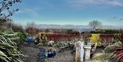 garden area with chairs, garden pots and chimenea,
