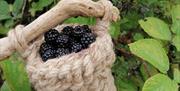 Blackberry basket