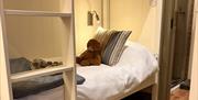 Bunk Beds Ballydorn Hut