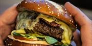 Burger with cheese in hands