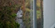 A view of a creek out of window.