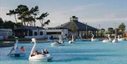 Photo of people enjoying rides on the Giant Swans pedal boats on the blue waters of the man made pond at Pickie Funpark