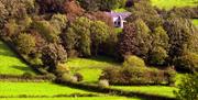 Image of green fields