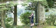 a person stands grasping a small tree with a swing attached to it