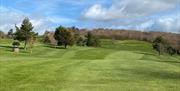 Image of golf course and trees beyond