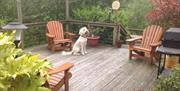 A deck area with garden furniture, a barbecue and a nice dog.