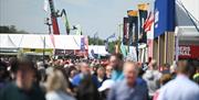Scene of a crowded walkway near the cattle rings at the Show