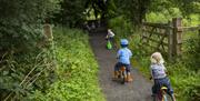 Walks at Castle Coole