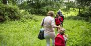 Walks at Castle Coole