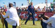 Judge makes his way down the line of sheep exhibitors in the ring at the Balmoral Show.