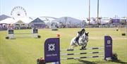 Sunny skies are the backdrop for show jumping in the event's Main Arena