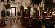 Beautiful restaurant with lots of dark woods, leather and greenery with views out to the Mourne Mountains.