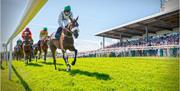 Horses approaching the finish line at Downpatrick Race Course with spectators in the grand stand.