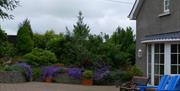 A paved area with garden furniture, trees and purple flower bushes.