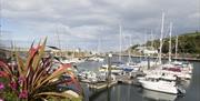 A number of boats in the marina at Glenarm with flowers in the foreground.