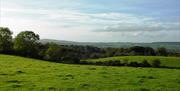 A rural view overlooking fields with trees.