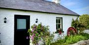 Dunnaglea Cottage taken from the front left. The one-storey cottage has a half-leaf front door, and has rose bushes outside.