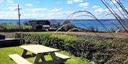 Outside seating area picnic table