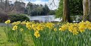 Lake Walk in  Spring