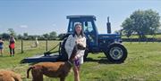 A trekking lady with an alpaca in a sunny field