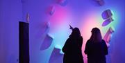 Two visitors admire colorful wall art featuring smooth stones and a small statue illuminated in vibrant lighting.
