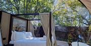 view of 4 poster king size bed with direct views of the tree line