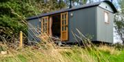 Sundew Hut with grass seed heads in foreground
