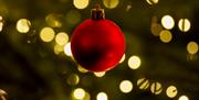 Christmas at Mount Stewart