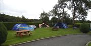 An area beside a road with trees beside tents and picnic tables.