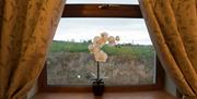 Window with scenic view and flowers in windowsill