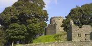 View from Dundrum Castle