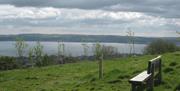 A grassy area with a bench for viewing a lough.
