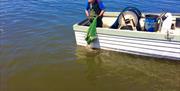 Lough Neagh Fisherman