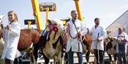 Amazing line-ups of livestock, show jumping, machinery and the latest innovations in agriculture.