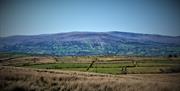 Image of fields and a mountain