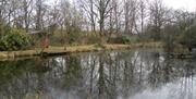 A private lake with a jetty and a shed surrounded by trees.