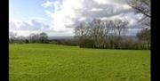 A field with a view of the countryside and trees.