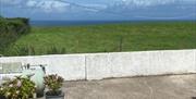 View from the backyard - blue sky with fluffy clouds looking over lush green field towards the sea